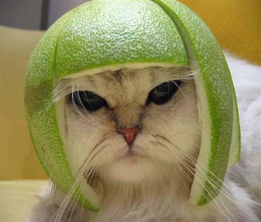 kocka_s_slupkou_od_citronu_na_
