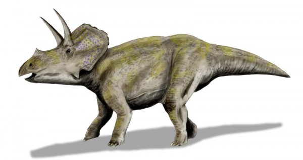 Eotriceratops_BW