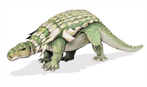 Edmontonia_dinosaur