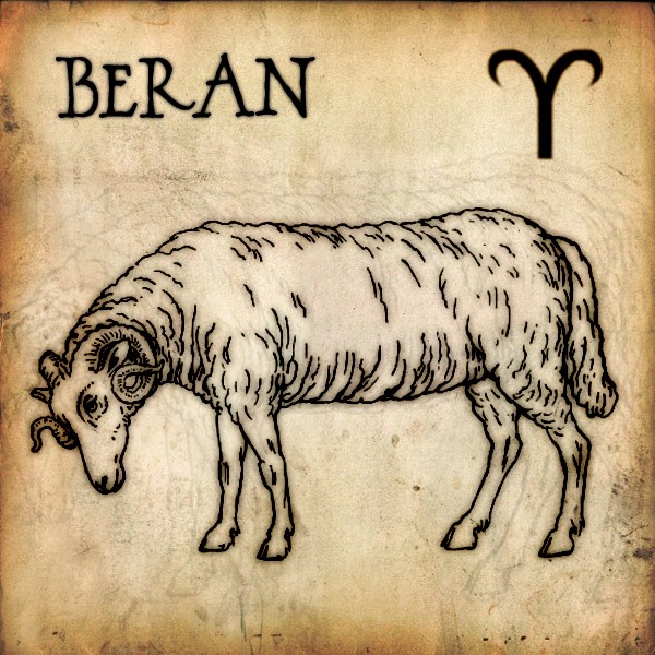 beran znamen