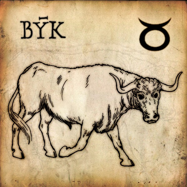 byk%20kopie
