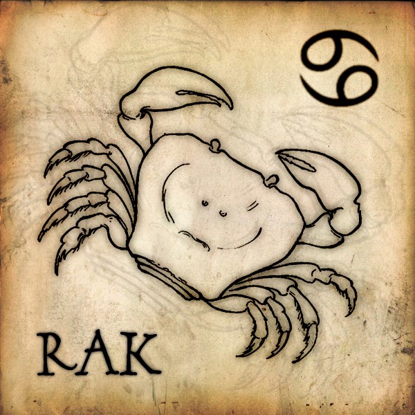 rak%20kopie