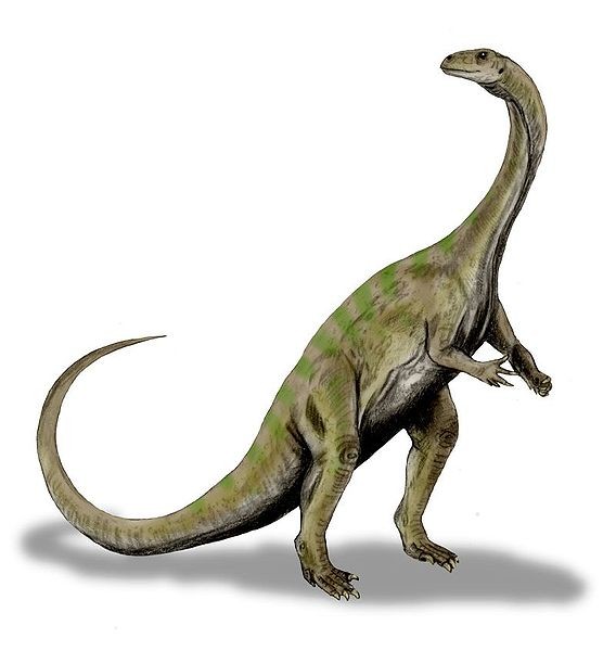 Massospondylus_BW