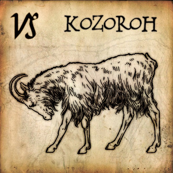 kozoroh
