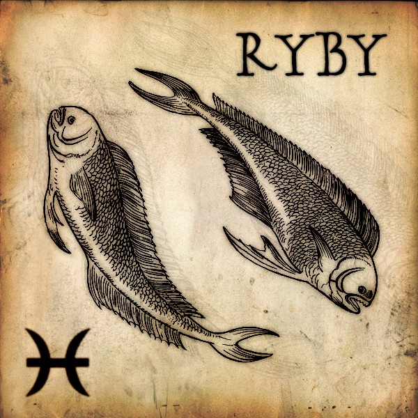 ryby%20kopie