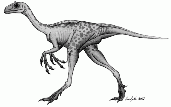 kakuru