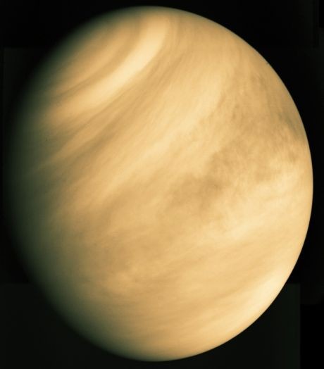 Venuseuz