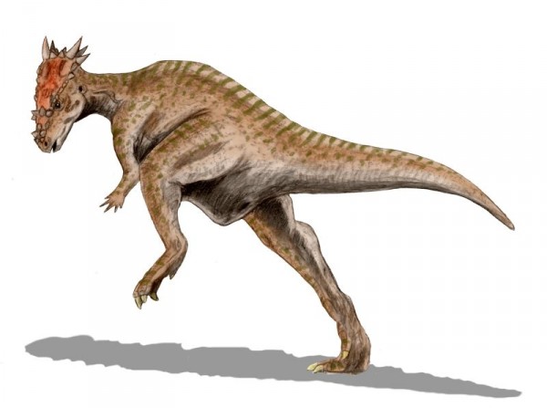Dracorex_BW