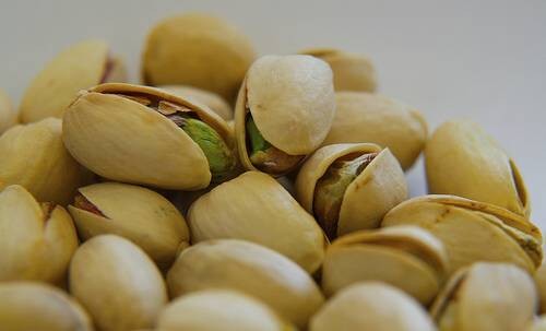 pistacia02