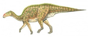 Tanius