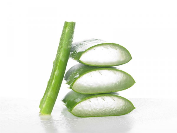 aloe vera03