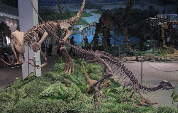 Gasosaurus
