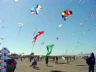 Makar Sankranti04