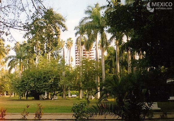 Sinaloa04