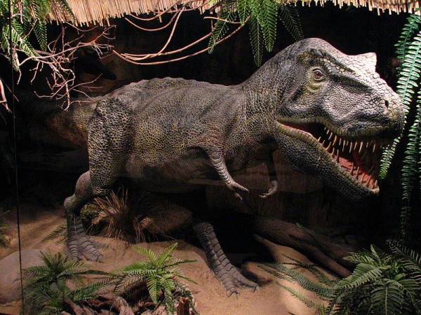 trex
