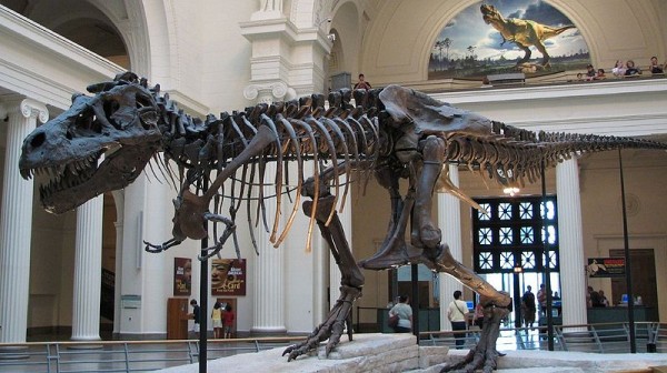 trex2