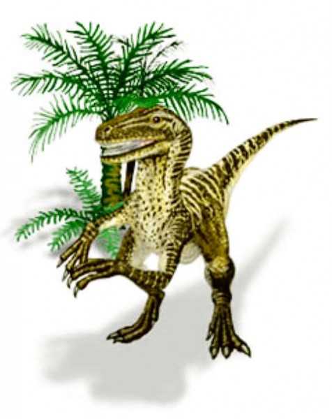 Ozraptor