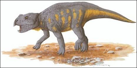 Ajkaceratops