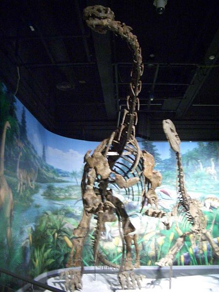 Jingshanosaurus