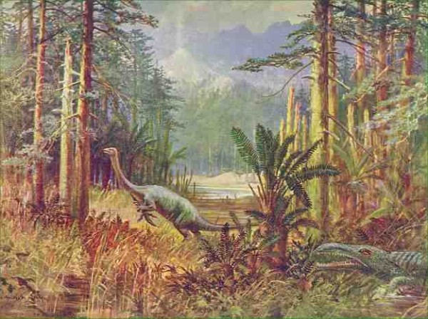 Anchisaurus