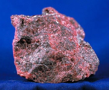 rtut2